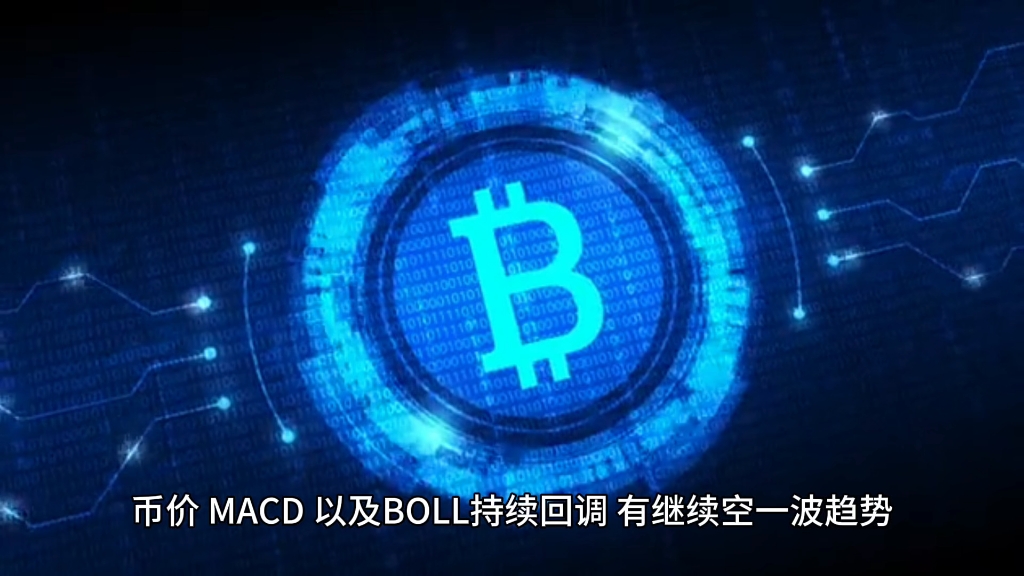 比特走势行情币今日价格最新_比特币价格今日行情走势_比特比币行情走势图