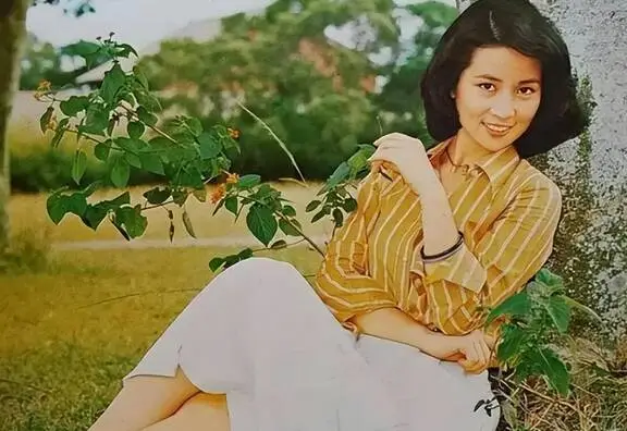 铃木朋子出场集数_攻略铃木朋子_铃木朋子