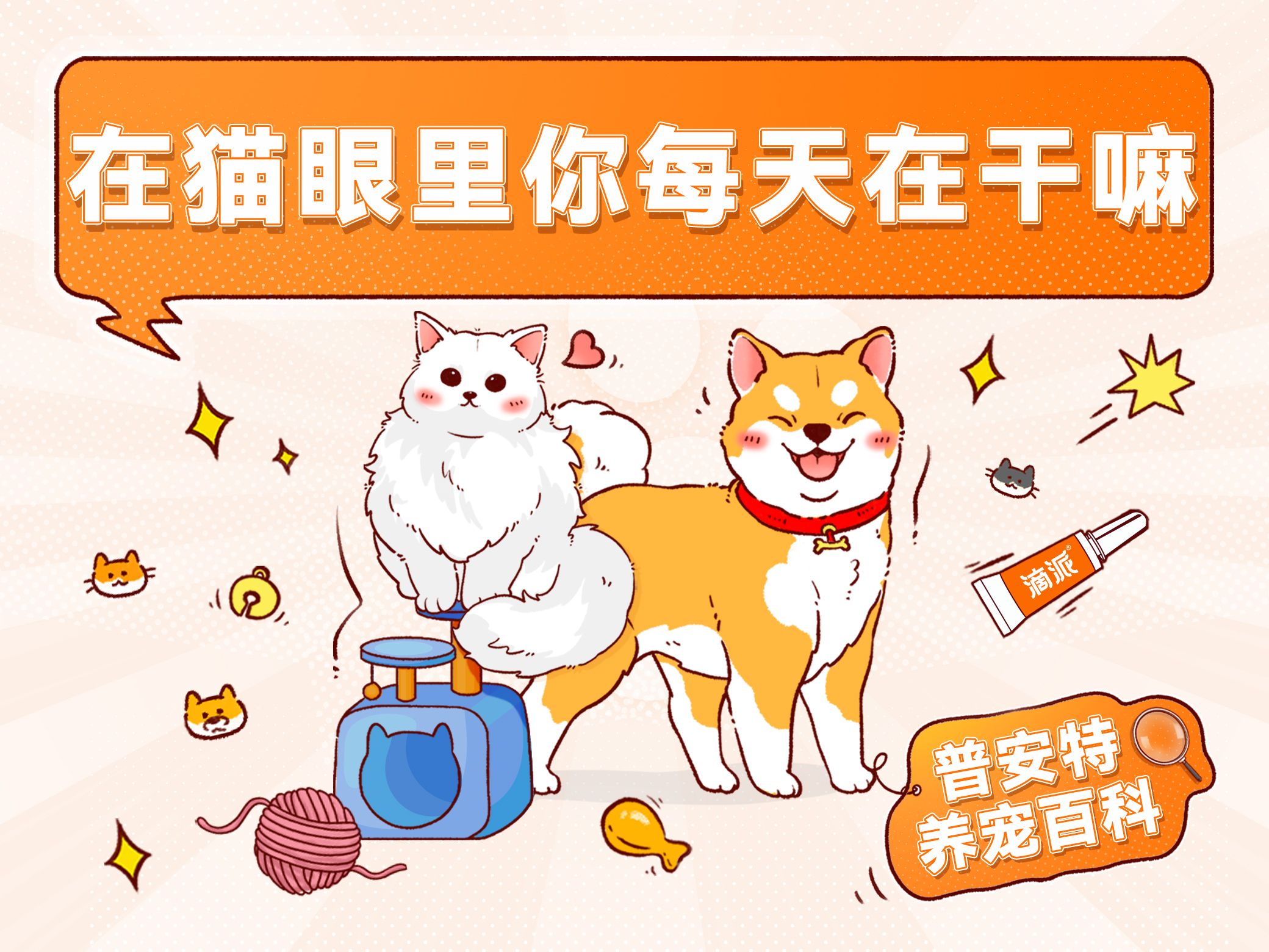 猫眼精灵摄像头_精灵眼监控使用说明书_猫眼精灵监控app下载