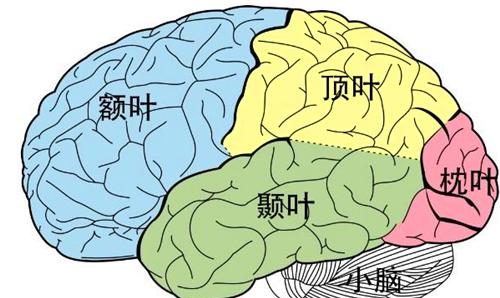 国产福利久久青青草原下载_国产福利久久青青草原下载_国产福利久久青青草原下载