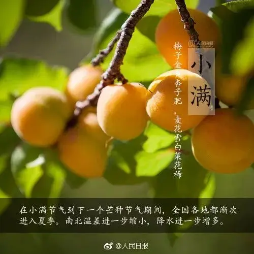 小满是第几个节气_节气小满是干什么的_节气小满是什么意思