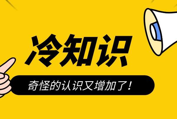 功能是什么意思_功能意识是什么意思_功能意念项目是什么意思