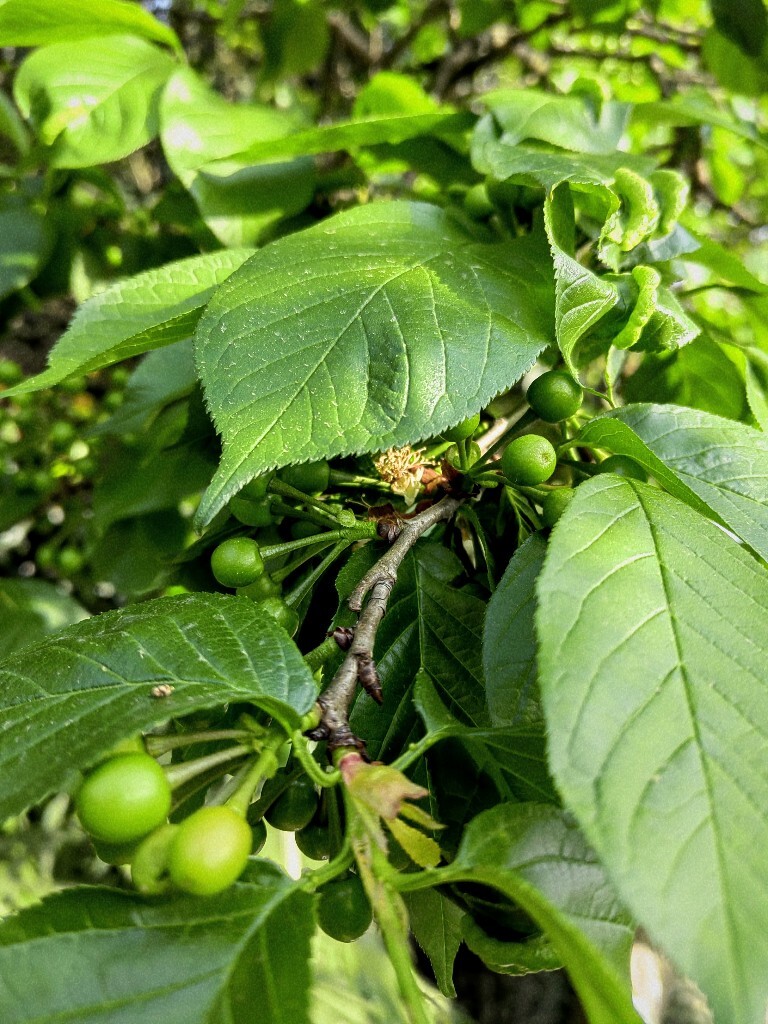 海苔烧汤怎么烧_佃煮海苔男_佃煮海苔男择偶标准