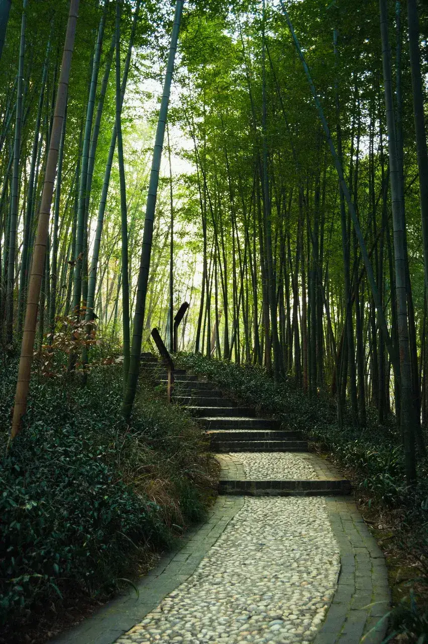 佃煮海苔男择偶标准_海苔烧汤怎么烧_佃煮海苔男