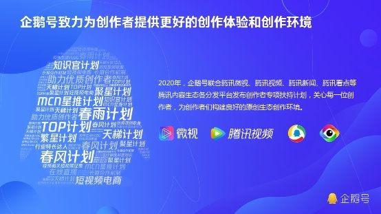 企鹅号是什么意思网络用语_企鹅号是QQ号吗_企鹅号是什么