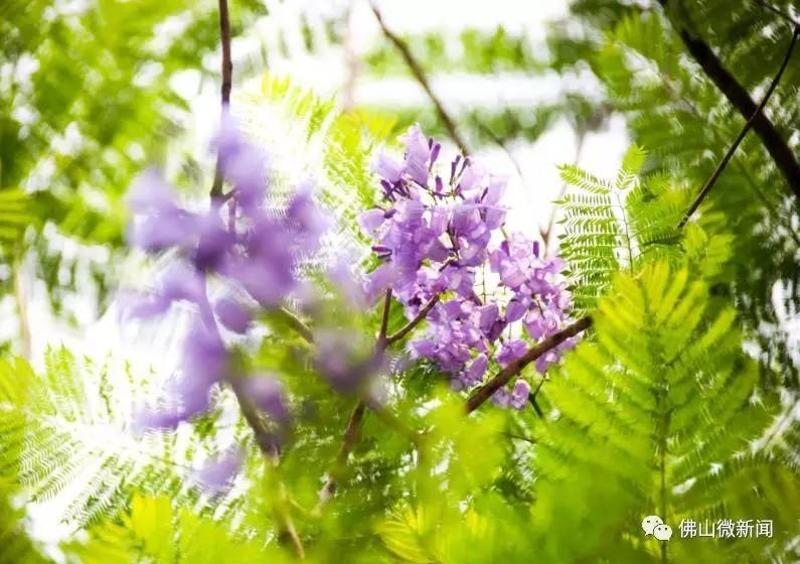 年历月历日历区别_6月万年历_年历月历和日历的区别