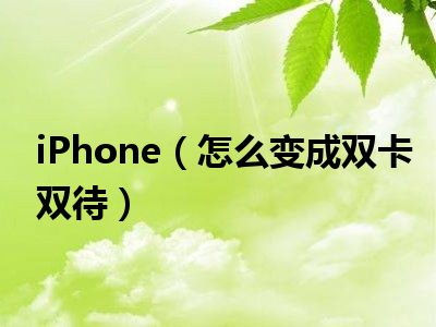 iphone放双卡_苹果11能插双卡吗_双卡插能苹果手机吗