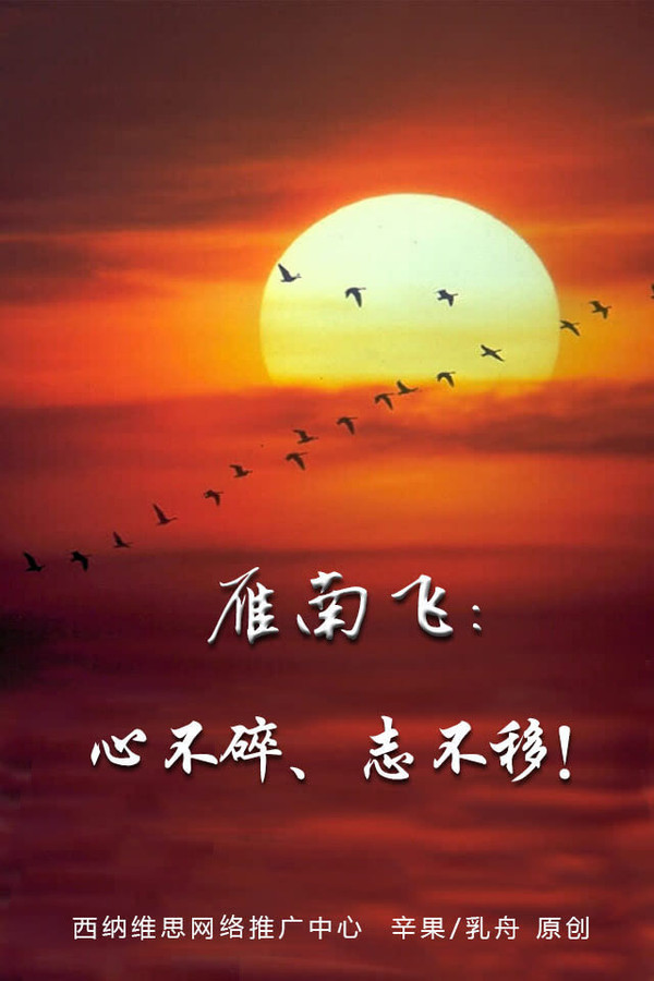 扇动翅膀_扇翅膀动图_扇翅膀动作