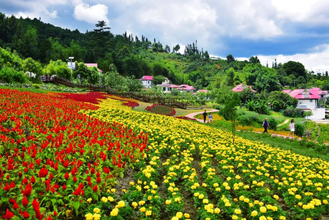 春节时间年份对照表_2016年春节过路费免费时间_2023年春节时间