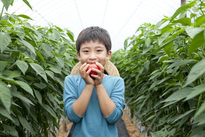 春节时间年份对照表_2016年春节过路费免费时间_2023年春节时间