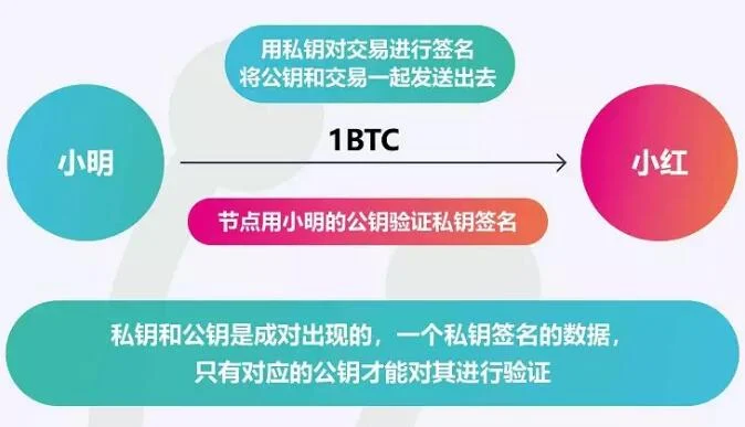 imtoken钱包怎么导出私钥_imtoken钱包怎么导出私钥_imtoken钱包怎么导出私钥