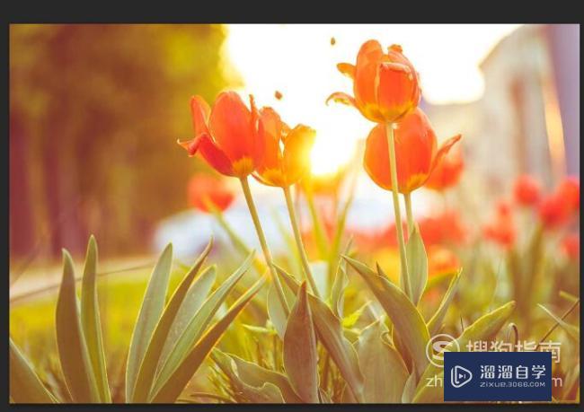 下拉列表增加_怎么样在下拉列表中增添_下拉列表怎么添加