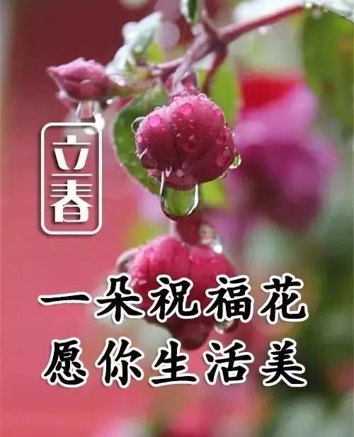 立春月是什么意思_立春是一月_立春是几月几日?