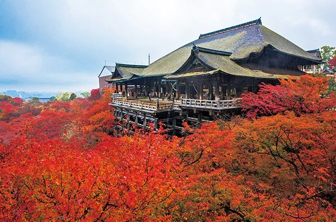 日本神奈川县有核辐射吗_日本神奈川_日本神奈川县属于哪个市