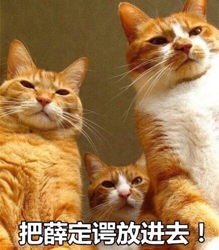 薛定谔_薛定谔的猫_薛定谔的猫实验