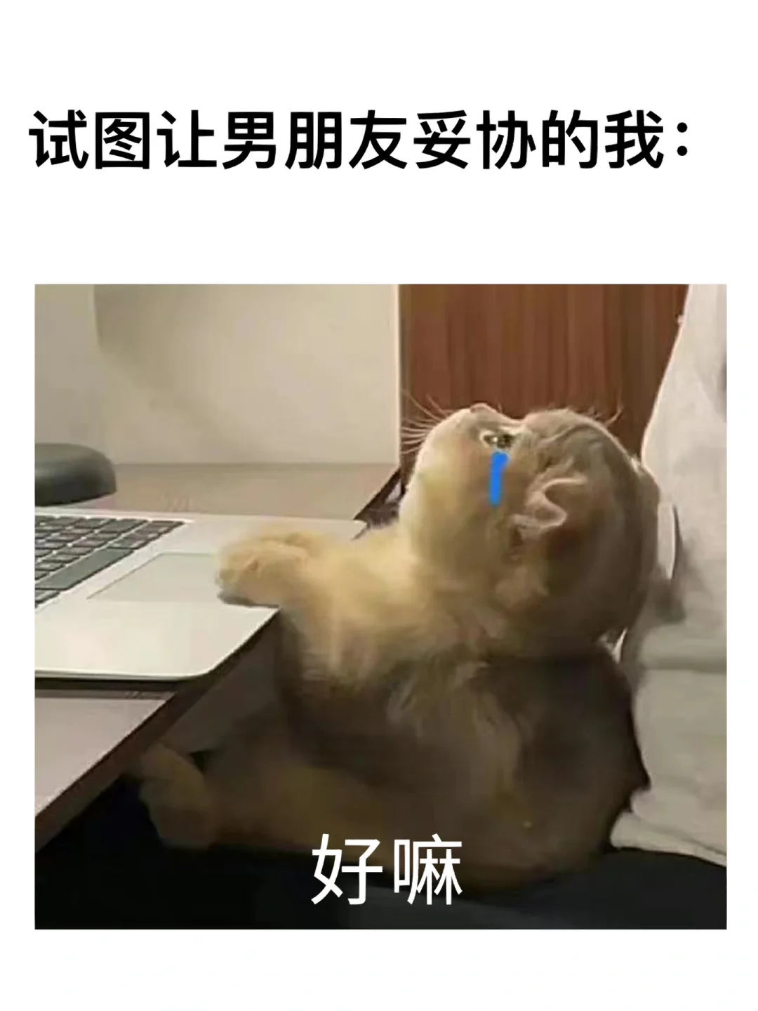 助理会计师资格考试_助理会计师考试_助理会计考试师考几门