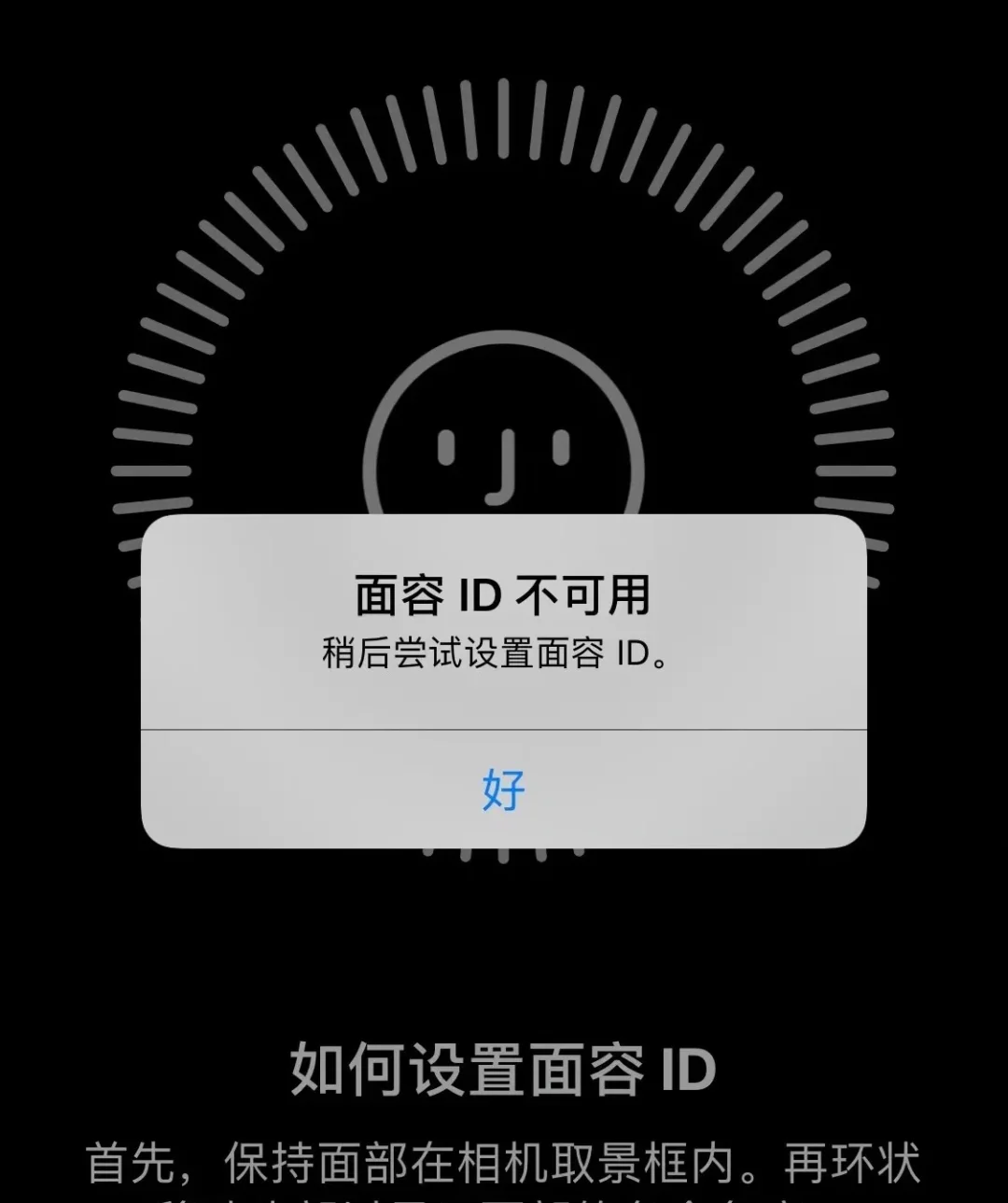面容识别不了怎么回事苹果_面容识别苹果_苹果12面容识别不了怎么回事