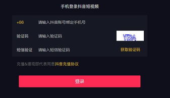 抖音注册手机号用不了怎么找回_抖音注册手机号用身份证吗_不用手机号怎么注册抖音