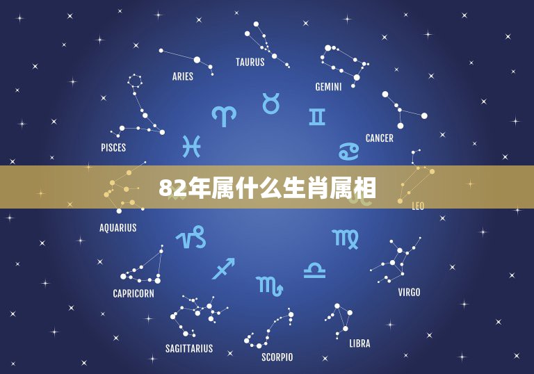 生肖属年龄_82年属什么的生肖_生肖属年表