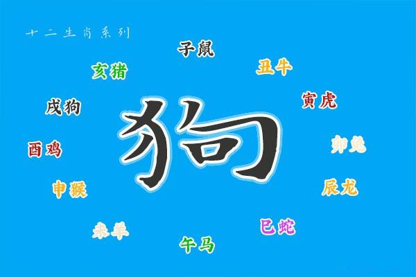 生肖属年龄_82年属什么的生肖_生肖属年表
