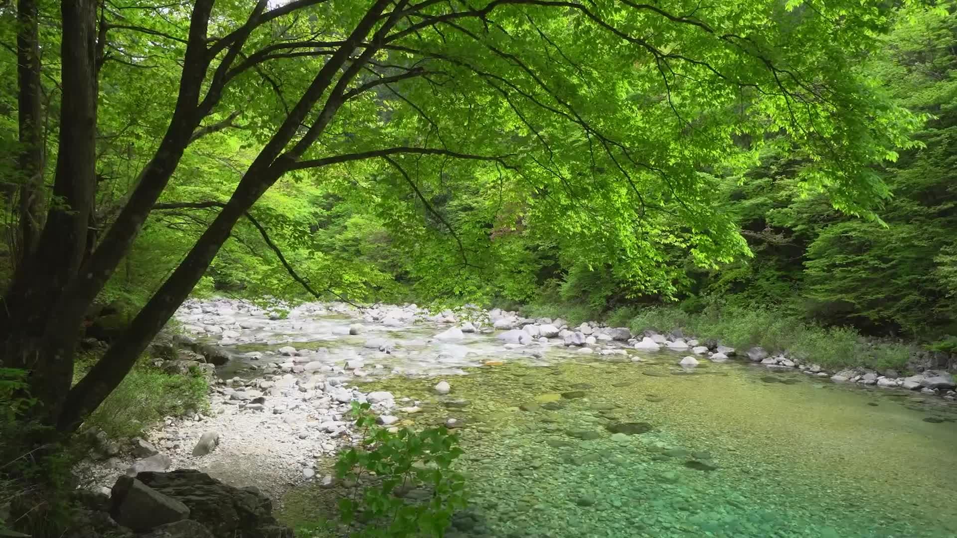 中里麻理惠丝袜_大冢麻里_里拍手大冢爱有视频吗