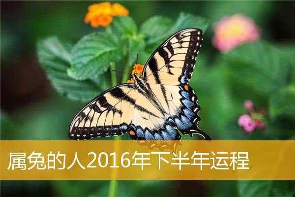 2016年运程_运势2016年运势_运势查询2016每月运程