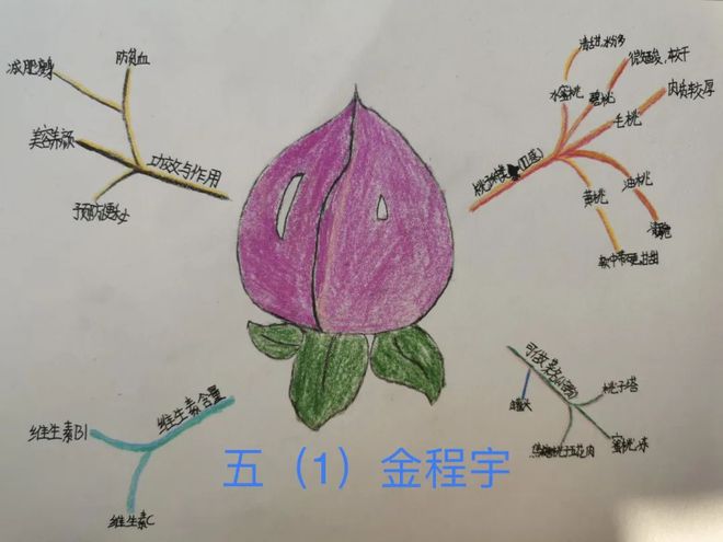 地球科学会议_地球系统科学大会_地球系统科学大会学生可以去吗