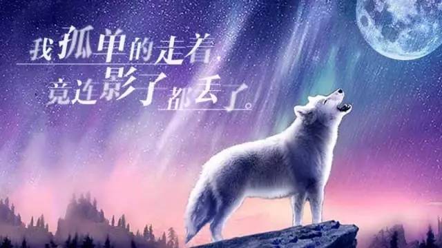 午夜视频a_午夜视频a_午夜视频a