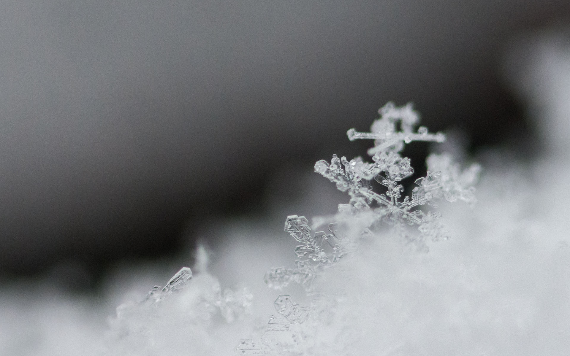 火车站进站查pos机是干嘛_天野小雪_小雪的天气怎么样