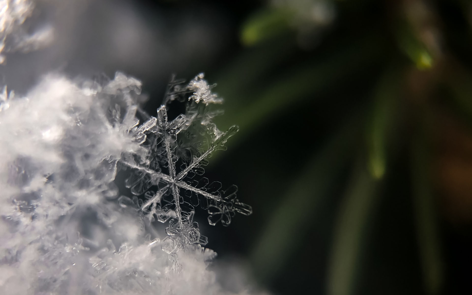 火车站进站查pos机是干嘛_天野小雪_小雪的天气怎么样