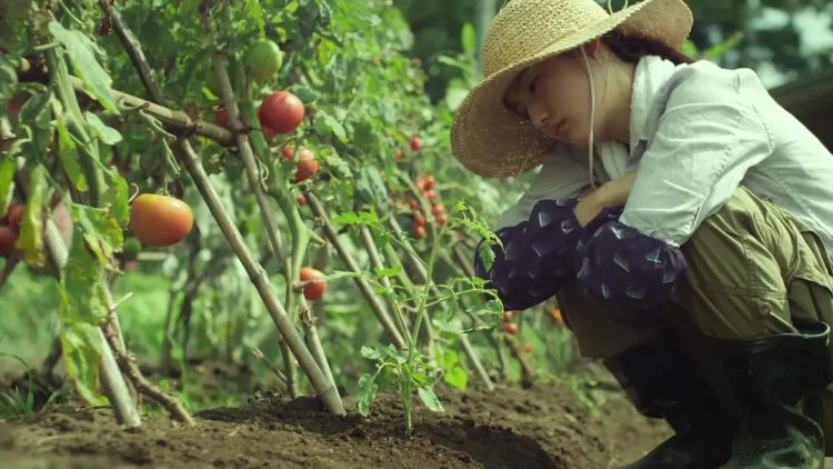 小森林日本电影免费观看完整版_小森林夏秋篇免费观看_森林战士电影国语免费观看