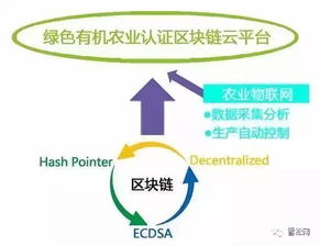 区块链农业服务,构建透明、高效、可持续的农业服务新生态
